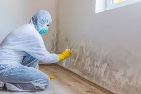 Why You Should Choose Our Mold Remediation Services in Leonville, LA