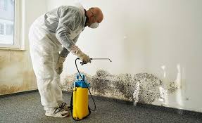 Best Water Damage & Mold Remediation  in Leonville, LA