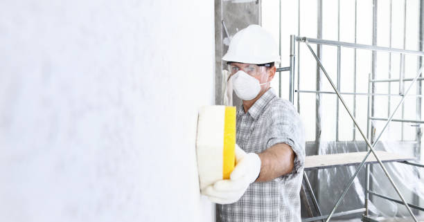 Best Mold Damage Restoration  in Leonville, LA