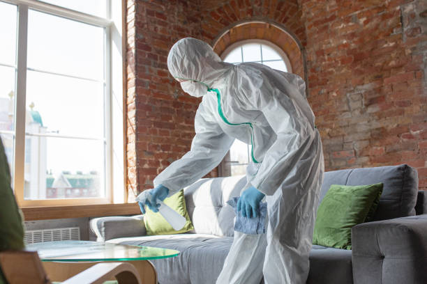 Best Commercial Mold Inspection  in Leonville, LA